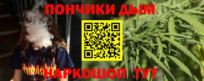 шишки Будённовск