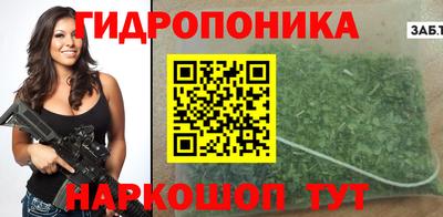 шишки Будённовск