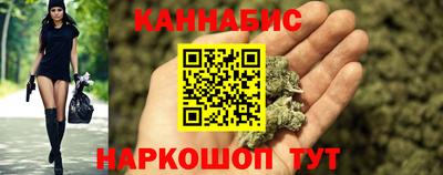 шишки Будённовск