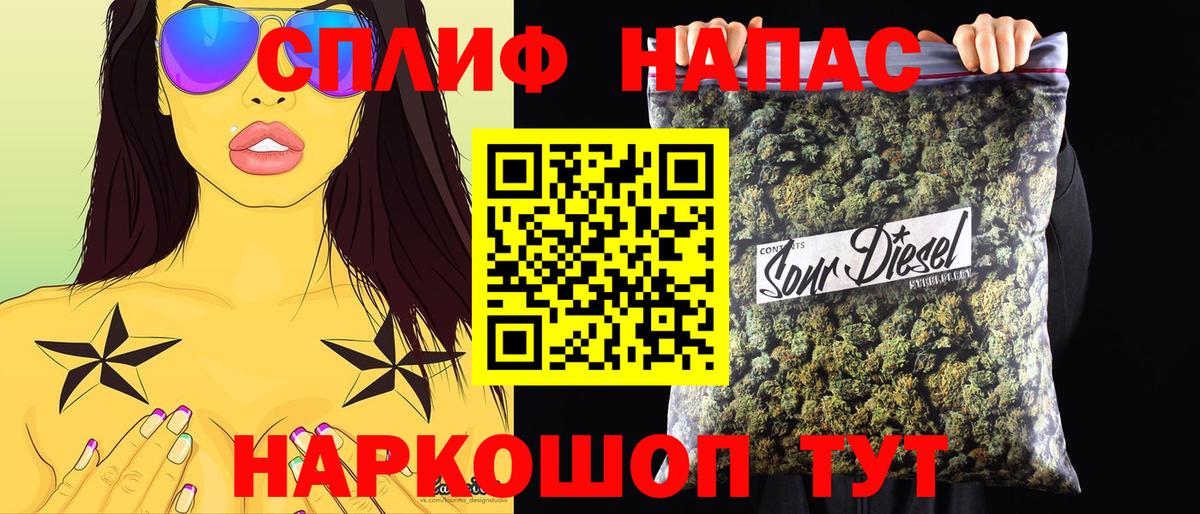 Конопля сатива Элиста
